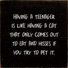 Having A Teenager Is Like Having A Cat That Only Comes Out... | Funny Wood Signs | Sawdust City Wood Signs