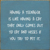 Having A Teenager Is Like Having A Cat That Only Comes Out... | Funny Wood Signs | Sawdust City Wood Signs