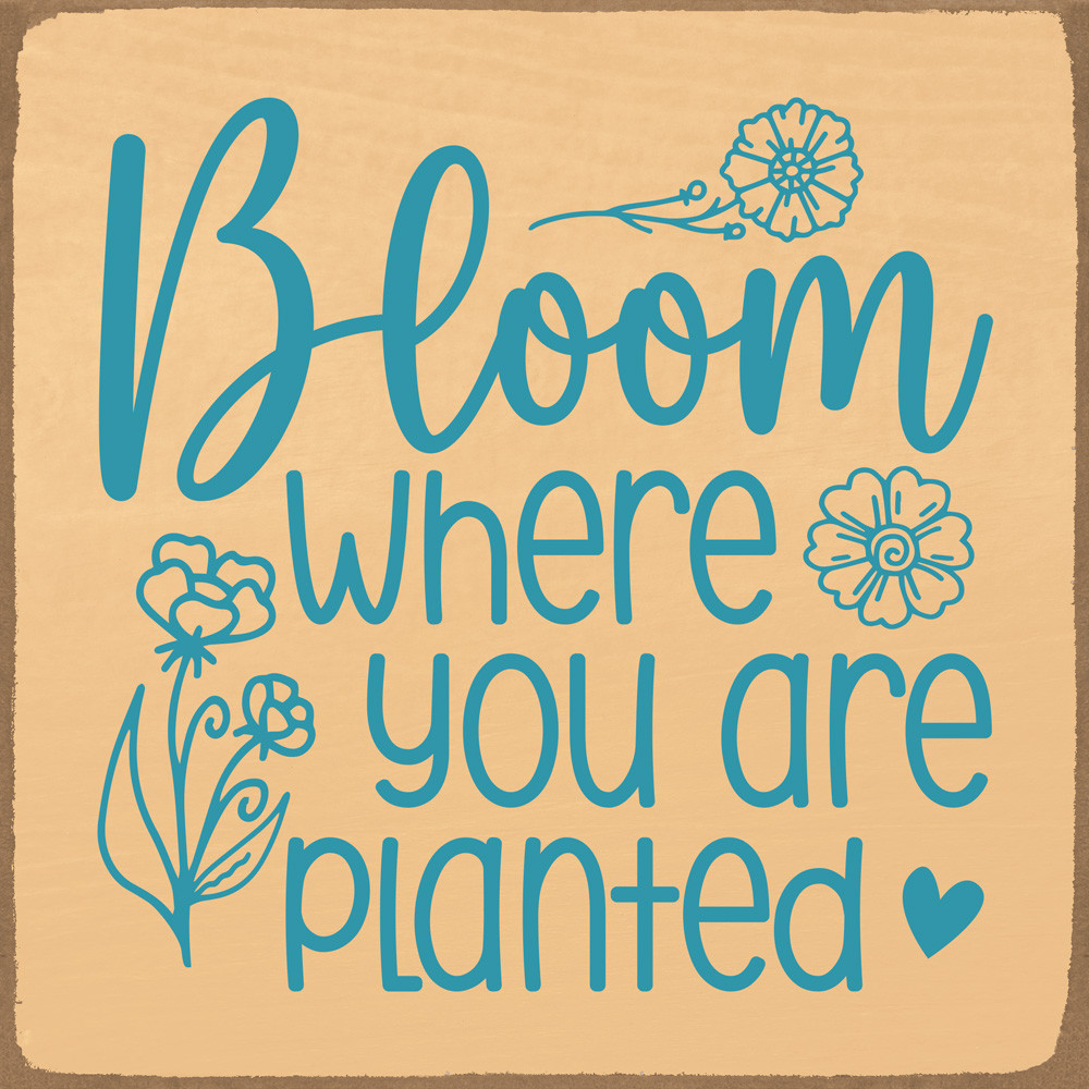 Bloom where you are plantedInspirational Wood Sign | Sawdust