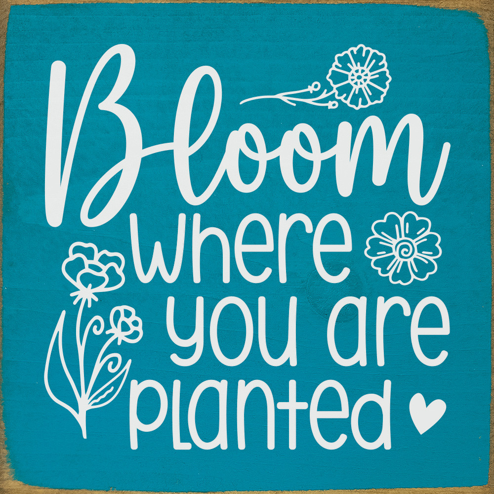 Bloom where you are plantedInspirational Wood Sign | Sawdust