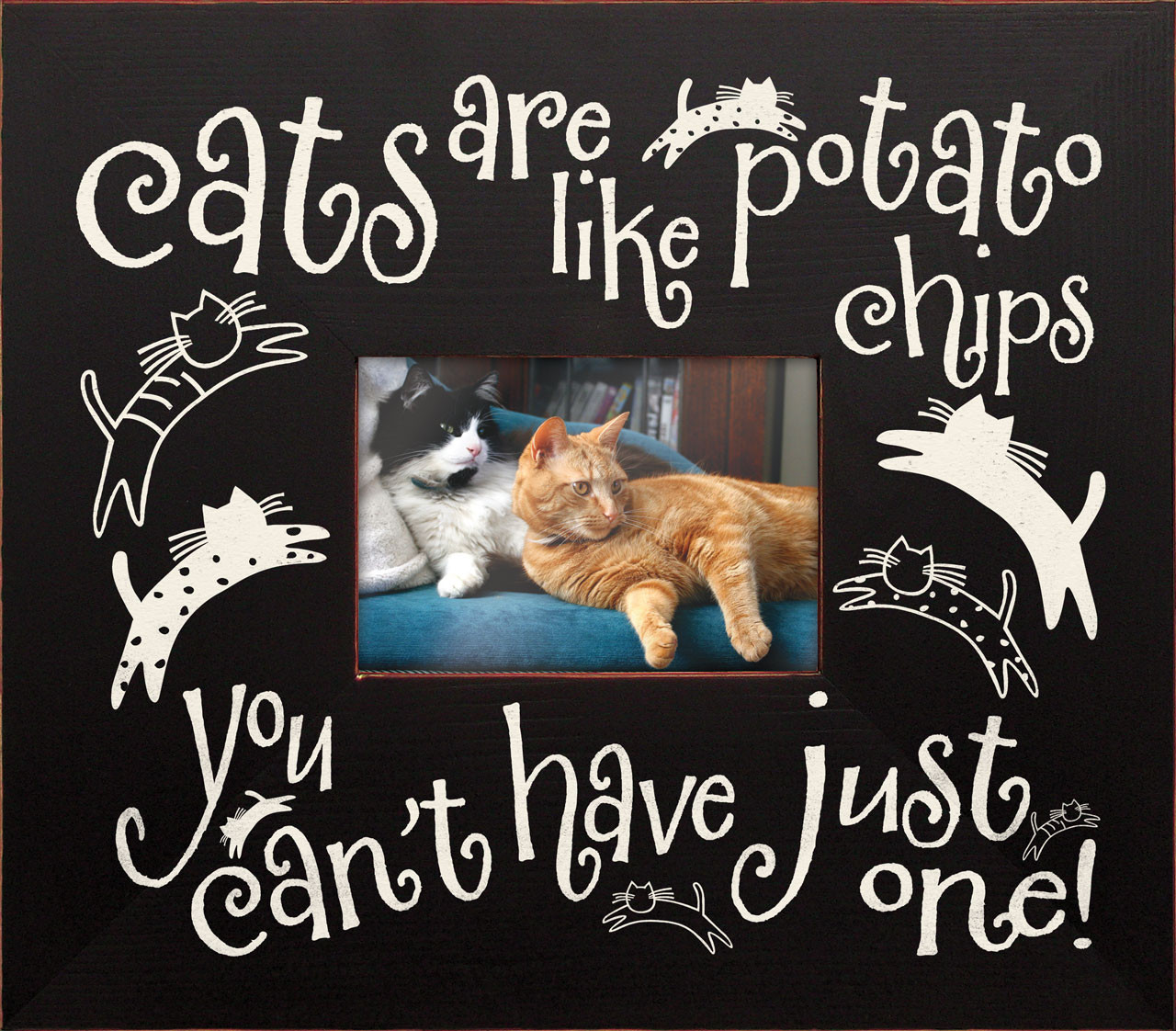 Cats are like potato chips Â—you can't have just one!