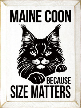 Maine Coon - Because Size Matters