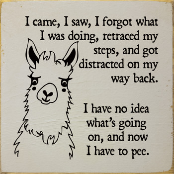 I came, I saw, I forgot what I was doing, retraced my steps...| Funny Wood Sign | Sawdust City Wood Signs