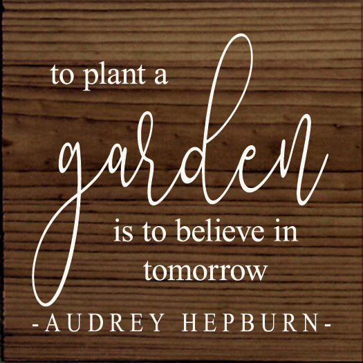 To Plant A Garden Is To Believe In Tomorrow -Aubrey Hepburn