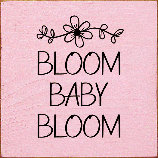 Bloom Baby Bloom |Flowers Wood Sign | Sawdust City Wood Signs