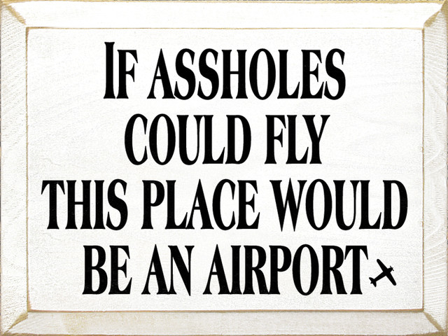 Targa di avvertimento in metallo con scritta If Assholes Could Fly This Place would be an airport ridicolos, in metallo, decorazione da parete, per interni ed esterni, 20 x 30 cm