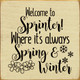 Welcome To Sprinter! Where It's Always Spring & Winter |Funny Wood Signs | Sawdust City Wood Signs