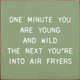 One Minute You Are Young And Wild The Next You're Into Air Fryers | Shown in Sage with Cottage White | Funny Wooden Signs | Sawdust City Wood Signs