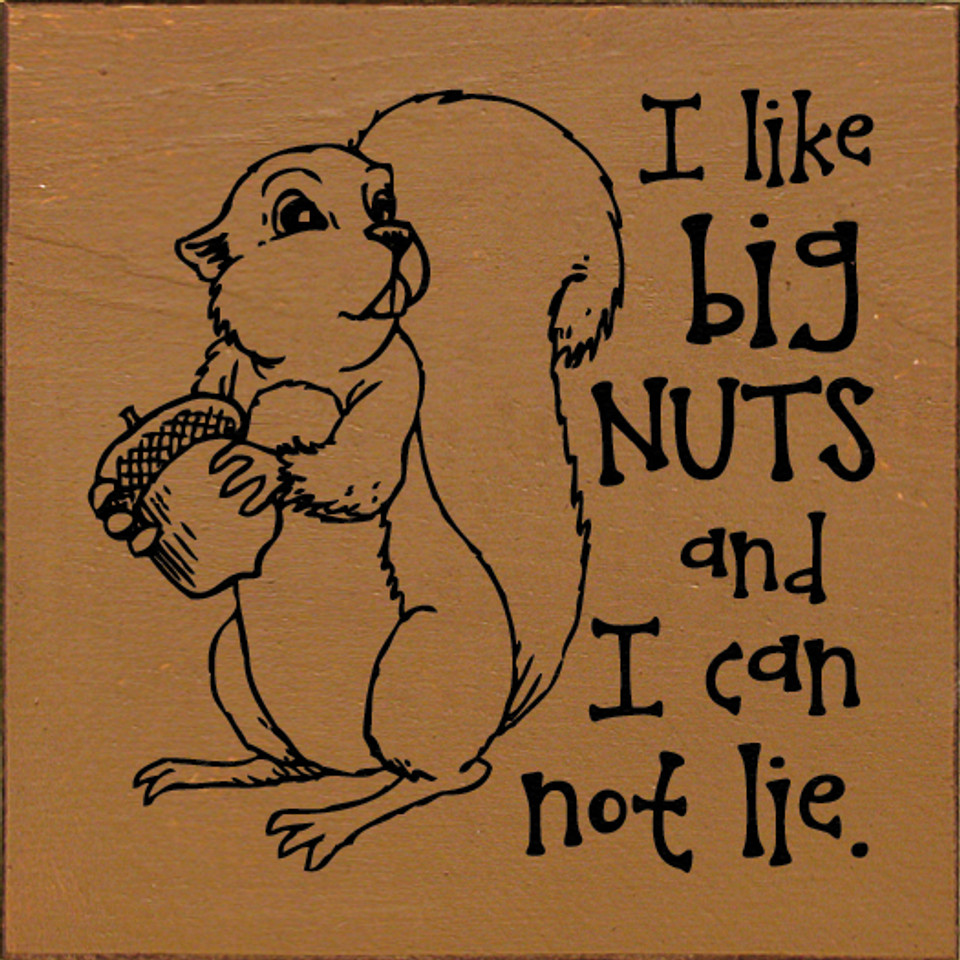 I Like Big Nuts And I Can Not Lie Squirrelfunny Wood Signs Sawdust City Wood Signs 8550