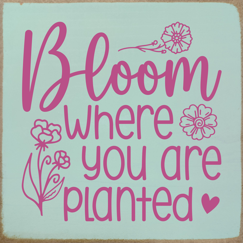 Bloom where you are plantedInspirational Wood Sign | Sawdust