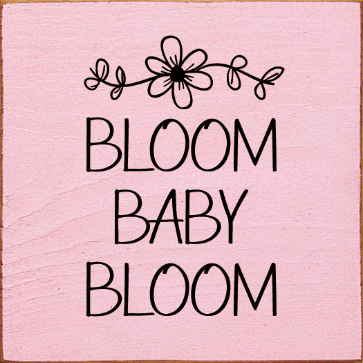 t6547_BloomBabyBloom_BPNK-