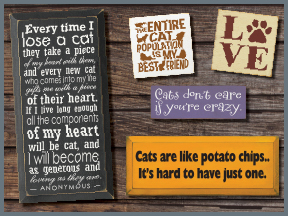 Cat Wooden Signs With Sayings And Quotes