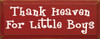 Thank Heaven For Little Boys |Thank Heaven Wood Sign| Sawdust City Wood Signs