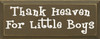 Thank Heaven For Little Boys |Thank Heaven Wood Sign| Sawdust City Wood Signs