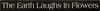 Shown in Old Black with Cottage White lettering