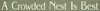 Shown in Old Sage with Cream lettering