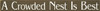 Shown in Old Brown with Cottage White lettering