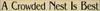 Shown in Old Cream with Black lettering