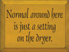 Normal Around Here Is Just A Setting On The Dryer | Laundryroom Wood Sign | Sawdust City Wood Signs