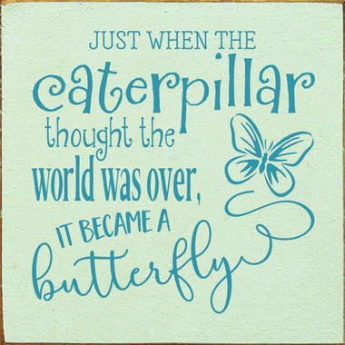 Just when the caterpillar thought the world was over, it became a ...