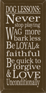 Dog Lessons: Never Stop Playing.. | Wood Sign With Dog Saying | Sawdust City Wood Signs