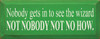 Nobody Gets In To See The Wizard - Not Nobody Not Nohow! (small) |Wood Sign With Movie Quotes| Sawdust City Wood Signs
