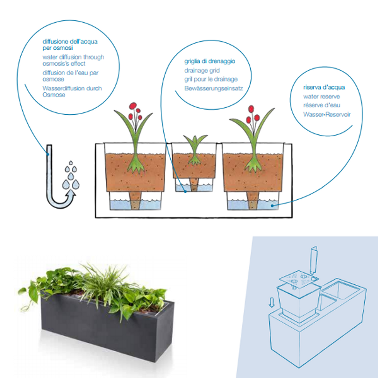 Cassa Self-Watering Modern Planter