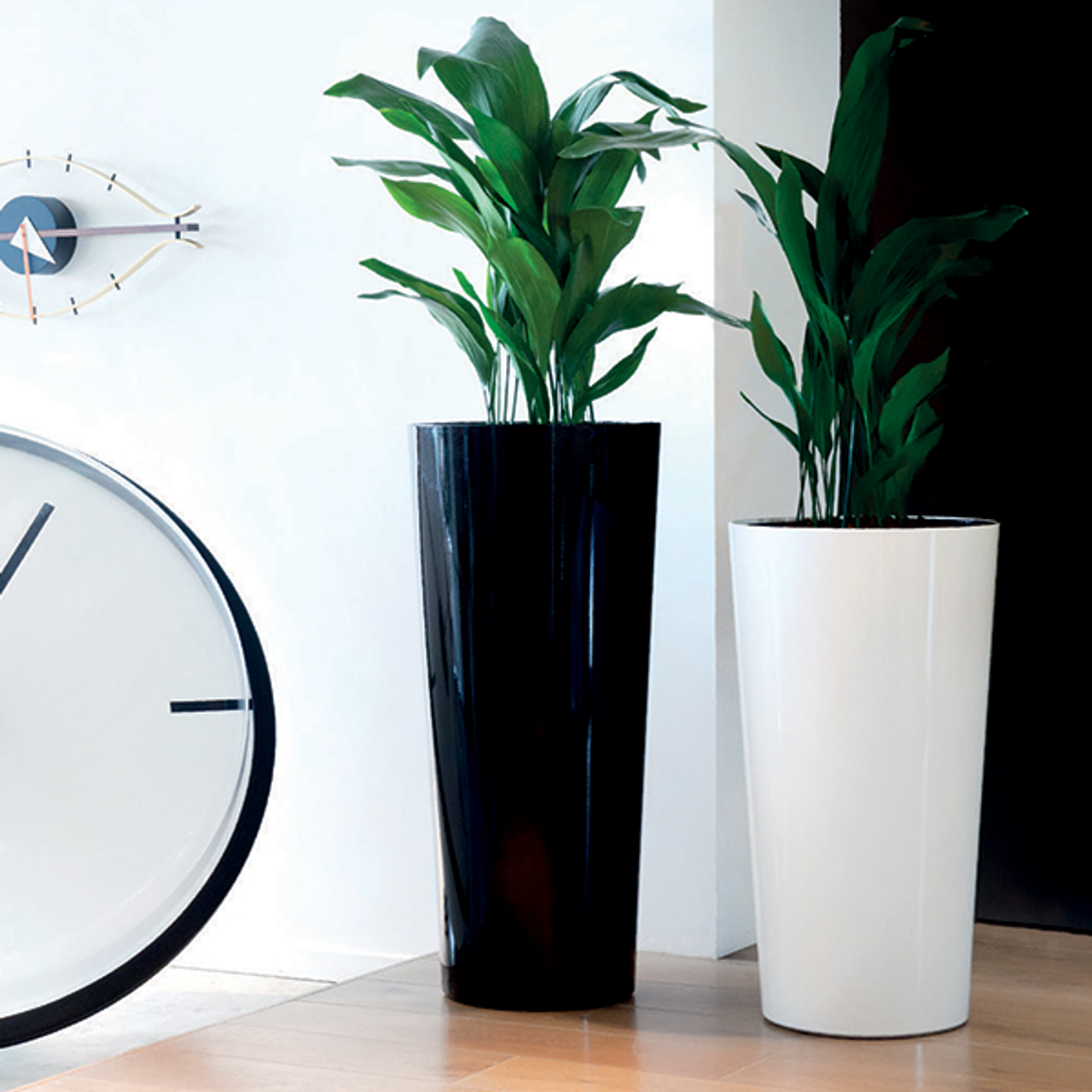 https://cdn11.bigcommerce.com/s-86h0kzno/images/stencil/1280x1280/products/744/8033/LS_Phoenix_Tall_Vase_Planter_GlossBlack_GlossWhite__61727.1438099129.png?c=2