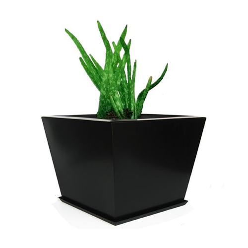 Zoid Planter with Tray