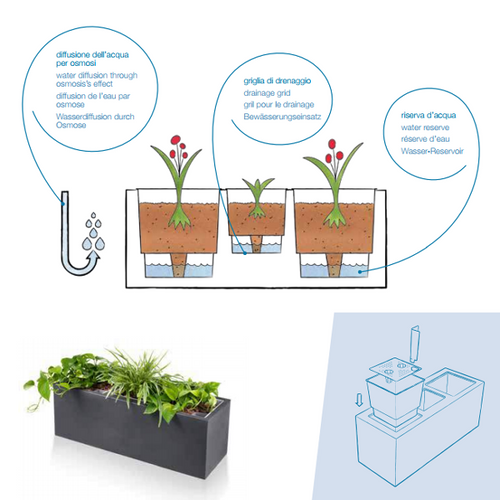 Schio Cassa Self-Watering Planter