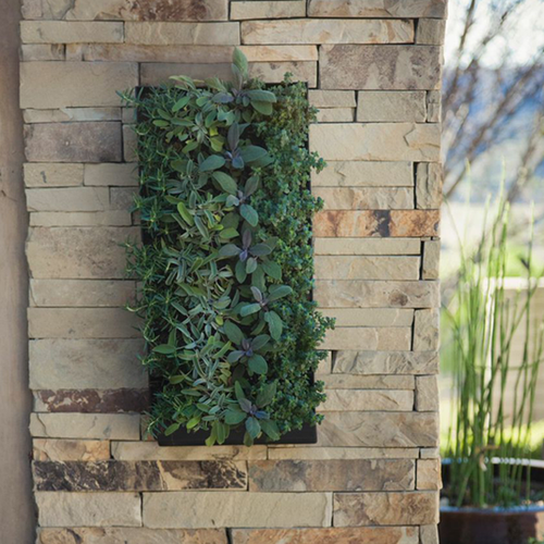 Grovert Living Wall Planter with Mounting Bracket