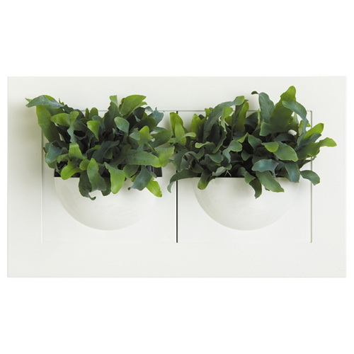 DISCONTINUED Green Gallery Double Wall Planter