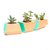 DISCONTINUED Boxcar Planter - Douglas Fir and Teal