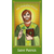 Prayer Card - Saint Patrick (card)