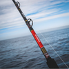 DAIWA SEABORG DENDOH ROD