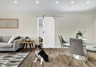 Pet-Friendly Home Design: Creating Spaces for Furry Friends