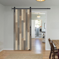 Elevate Your Space with the Prickly Pear Barn Door