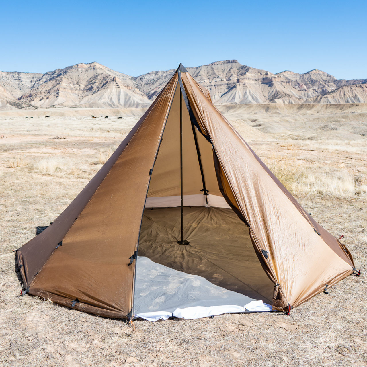 Person Floor and Liner