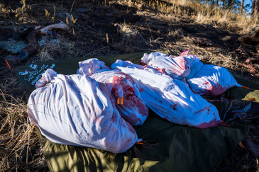 Carnivore - (Boned Out Game Bags for Elk Sized Game)
