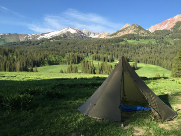 6 person Olive Green