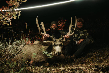 Light rope over mule deer