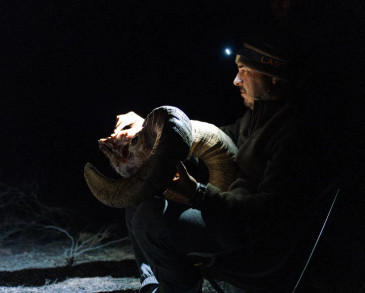 Last Light Head Lamp