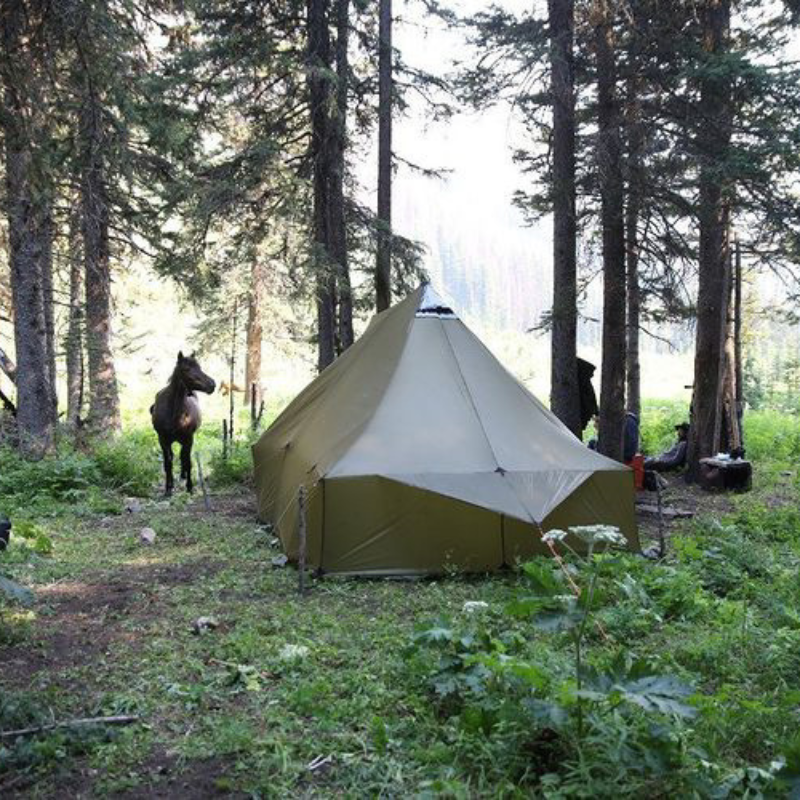 a Horse tied to a tree nest to a Courthouse tent in a green forest surrounded by trees