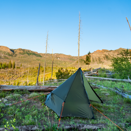 Brightwater 1 person Tent in grassy clearing with fallen trees and bare stone mountains in the background