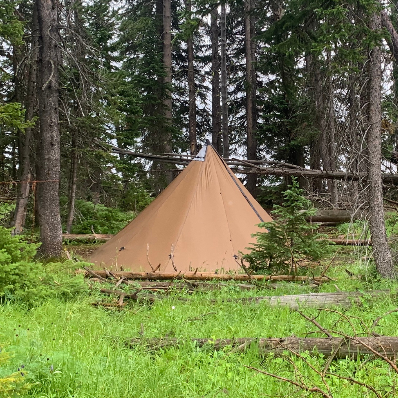 8 person tipi pitched in grassy forest clearing, stove jack with rain flap and reinforced guy outs visible