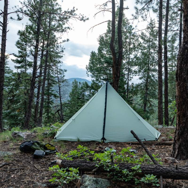 single door Cimarron light pitched in a forest clearing