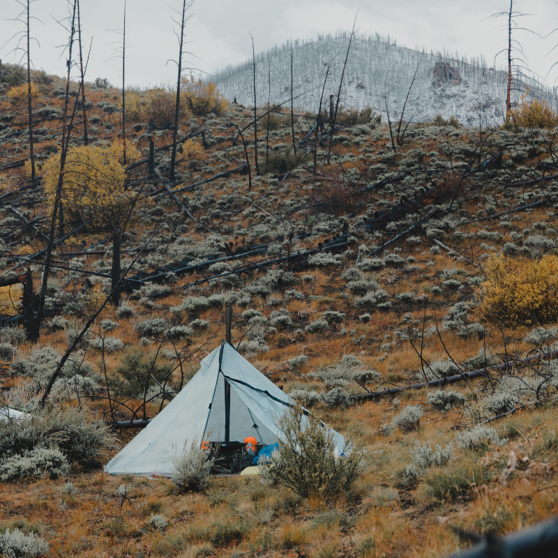 Cimarron Light set up in the brush, with stove and camping gear inside 