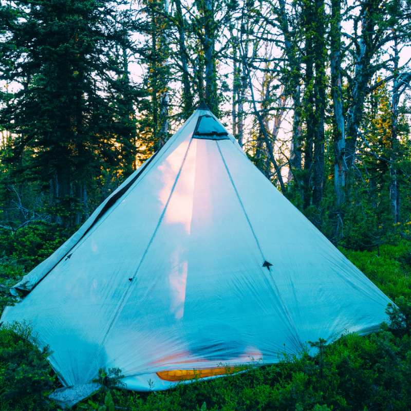 Morning camp with Dyneema shelter