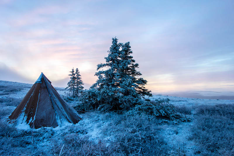 Fearlessly Floorless