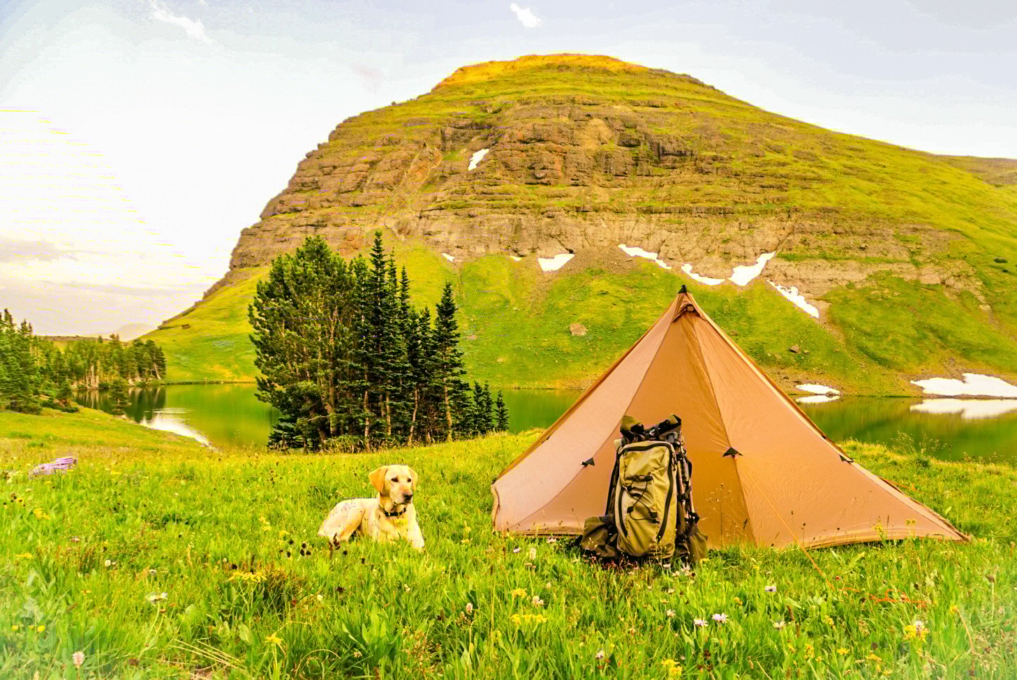 Father's Day Gift Guide